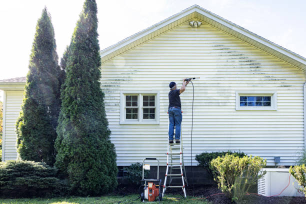 Best Gutter Cleaning  in Bargersville, IN